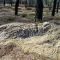 Una explotacin de kiwi arrasa un yacimiento arqueolgico en Oia